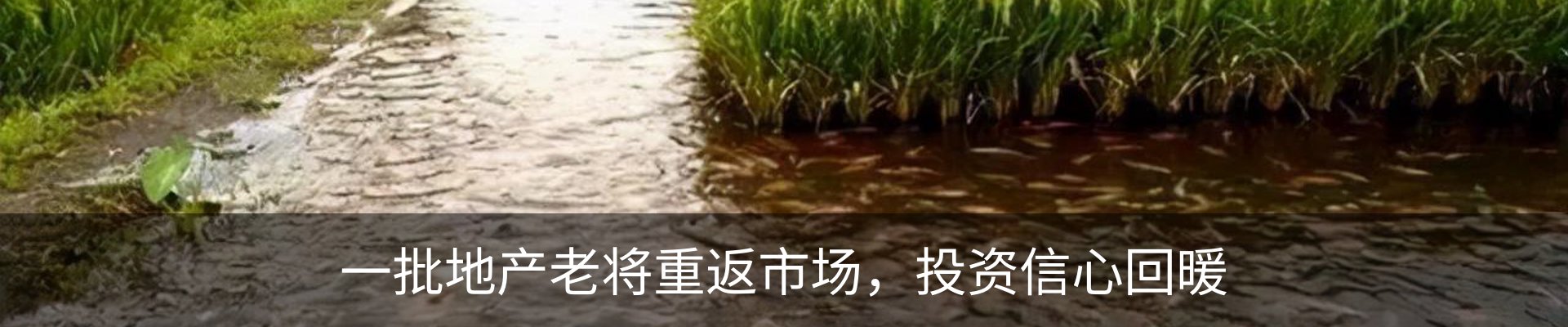 资讯中心