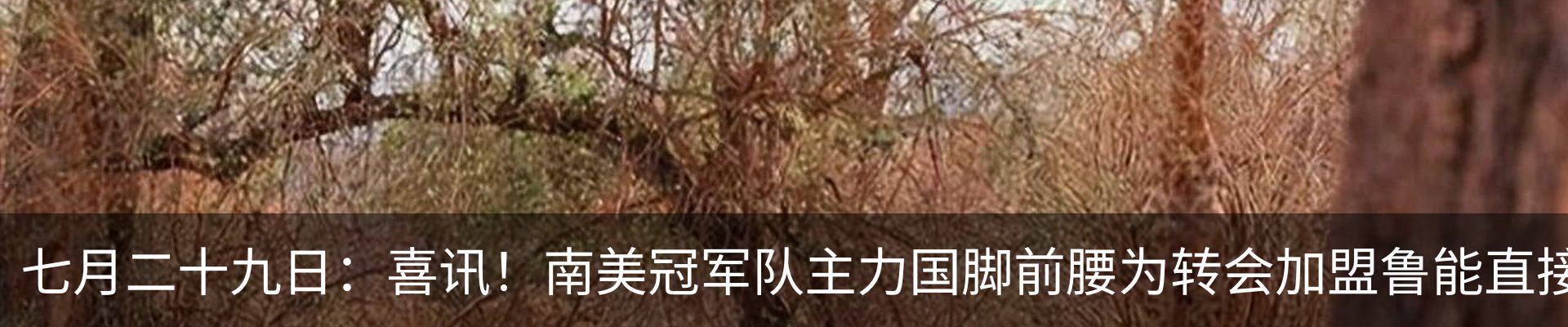 资讯中心