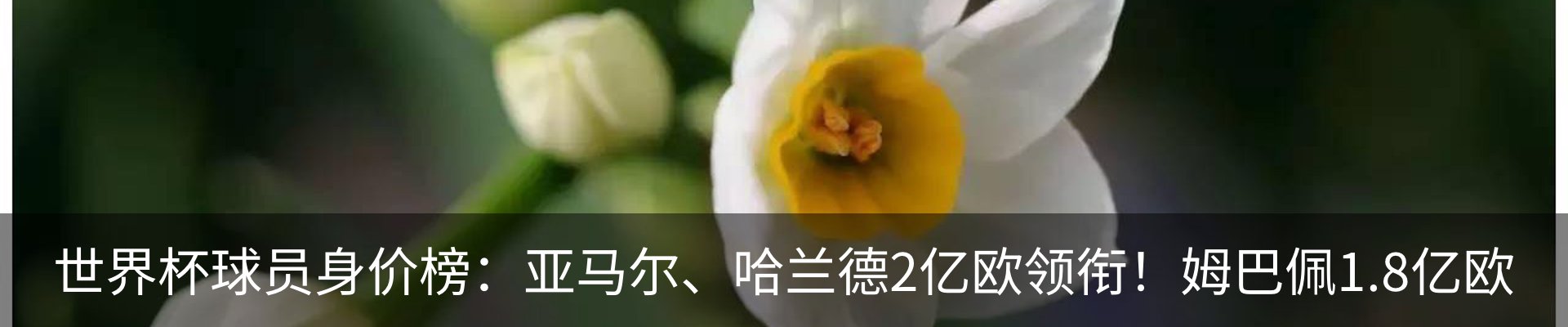 资讯中心