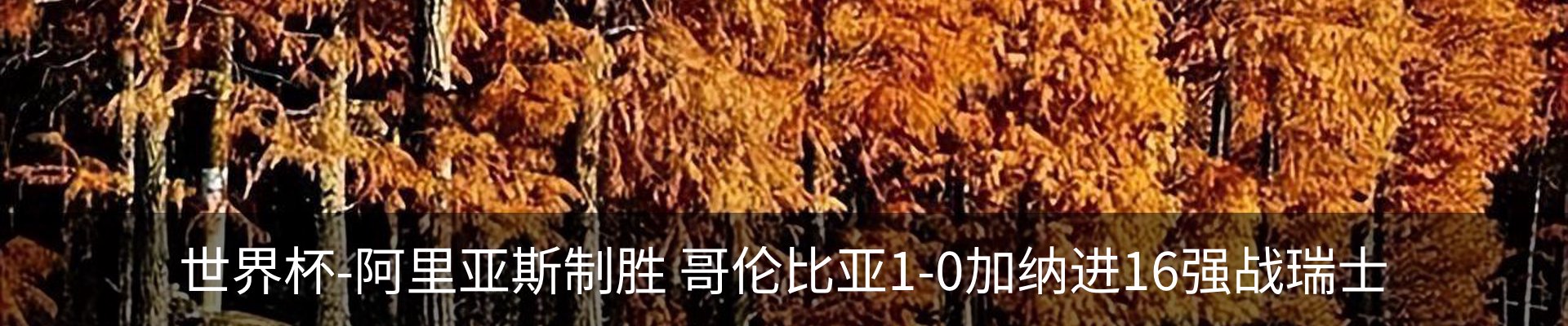 资讯中心