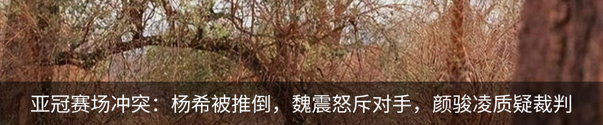 资讯中心