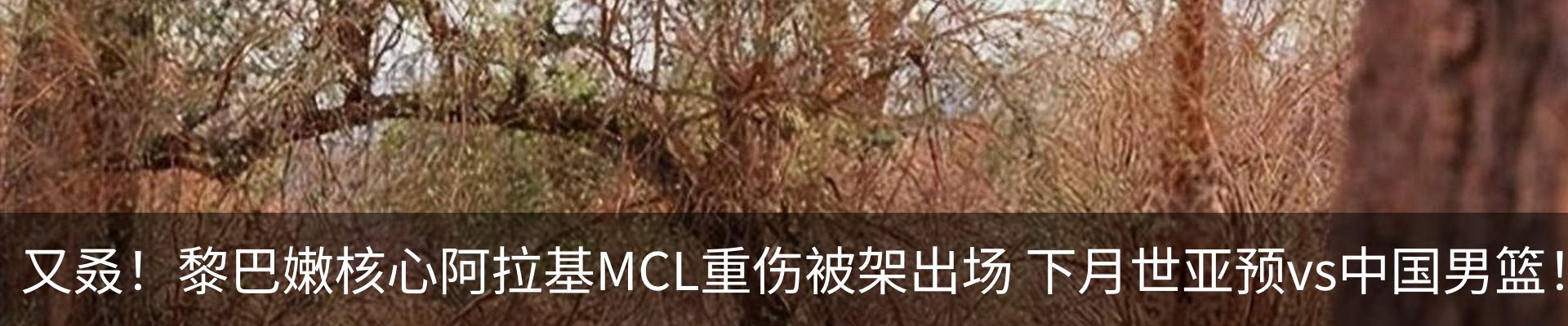 资讯中心