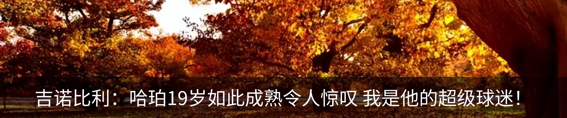 资讯中心