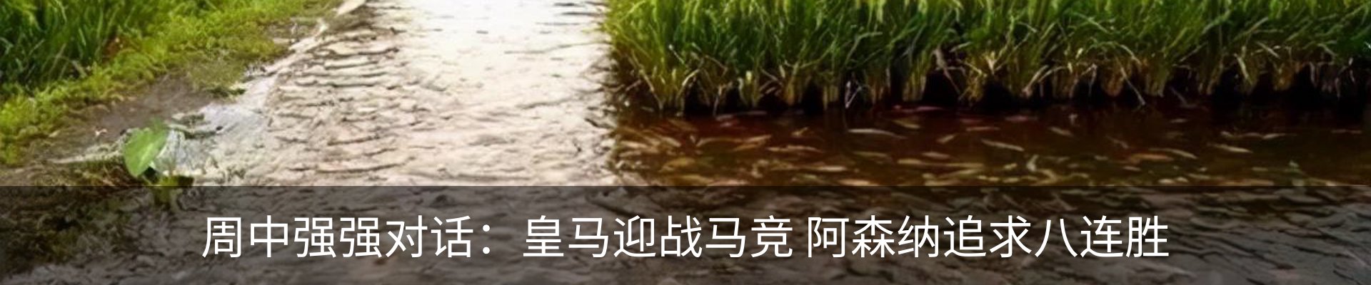 资讯中心