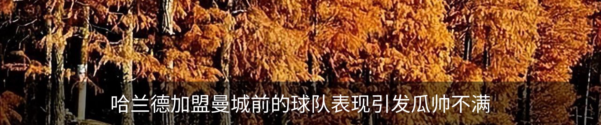 资讯中心