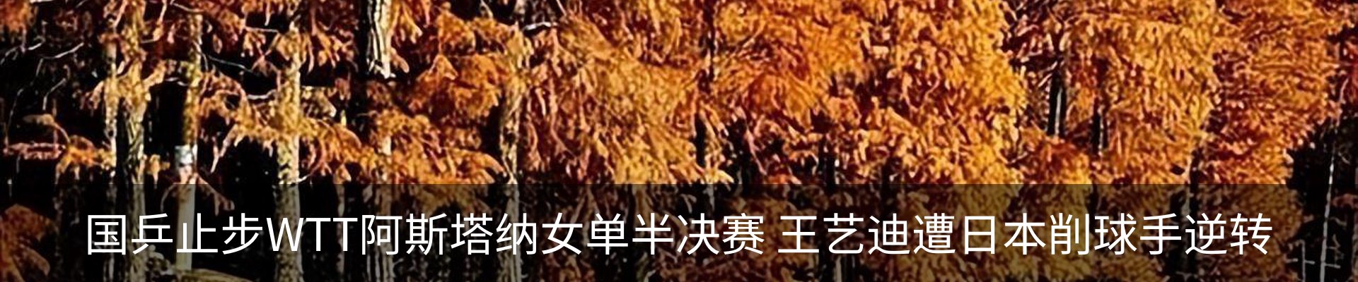 资讯中心