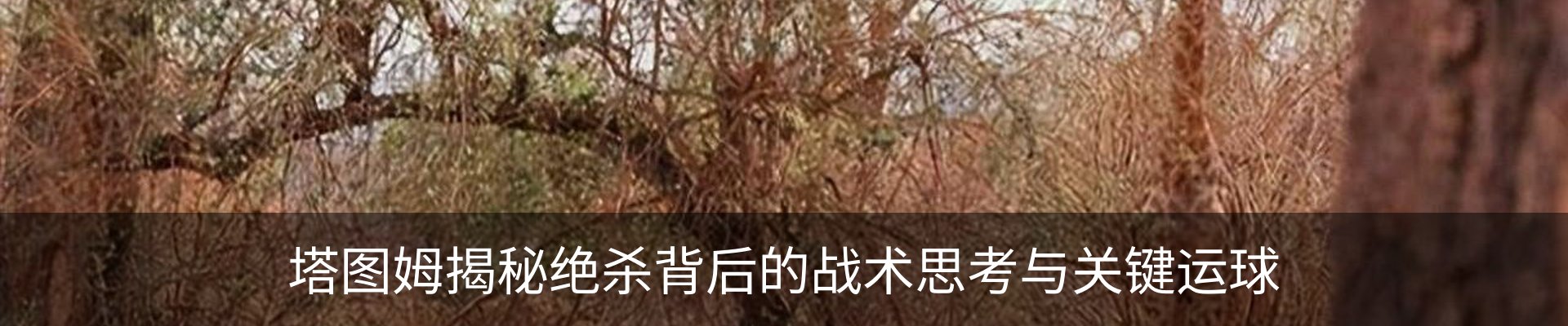 资讯中心