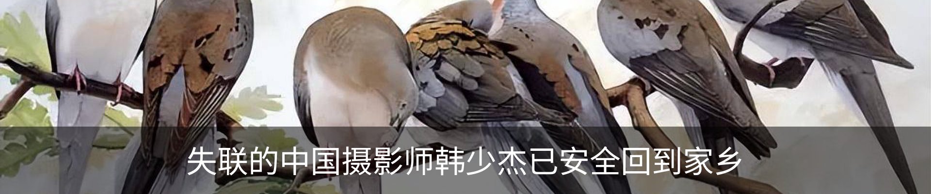 资讯中心