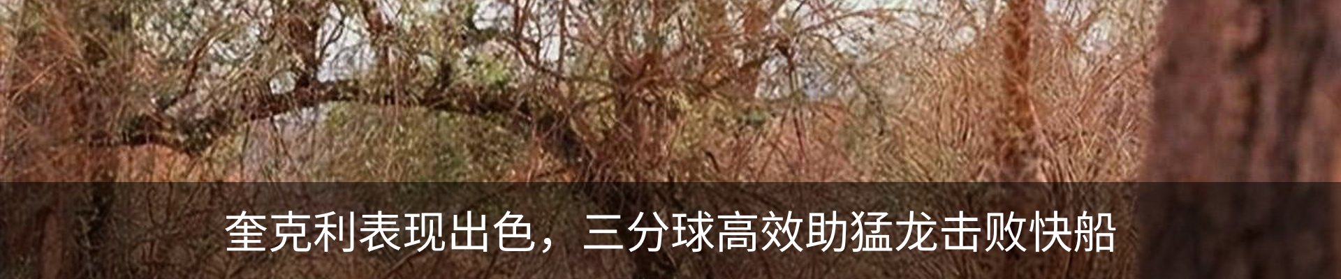 资讯中心
