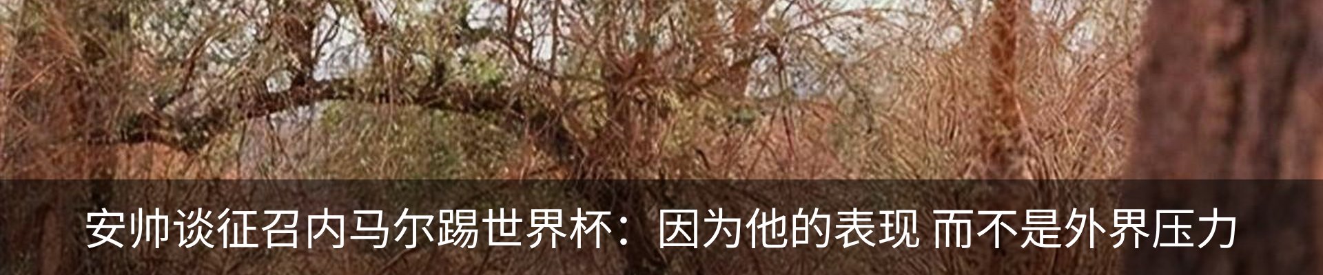 资讯中心