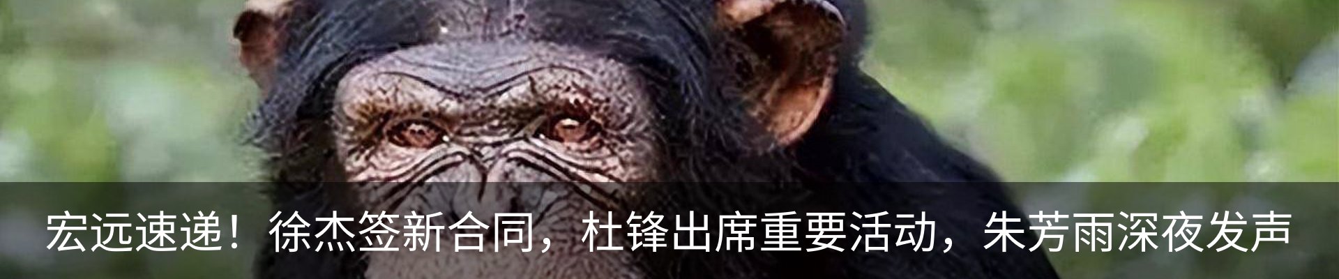 资讯中心