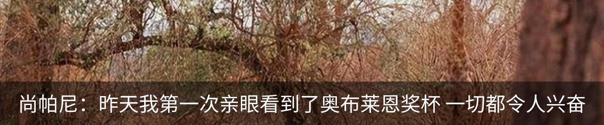 资讯中心