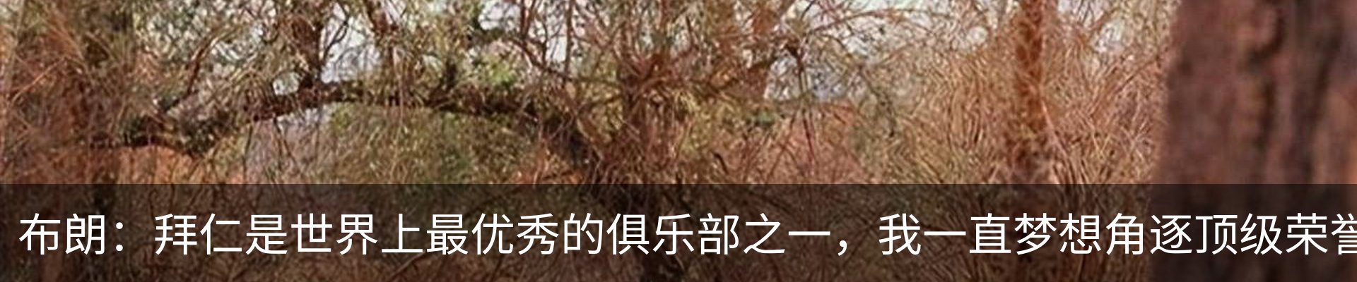 资讯中心