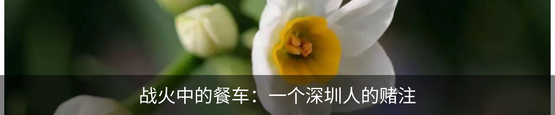 资讯中心