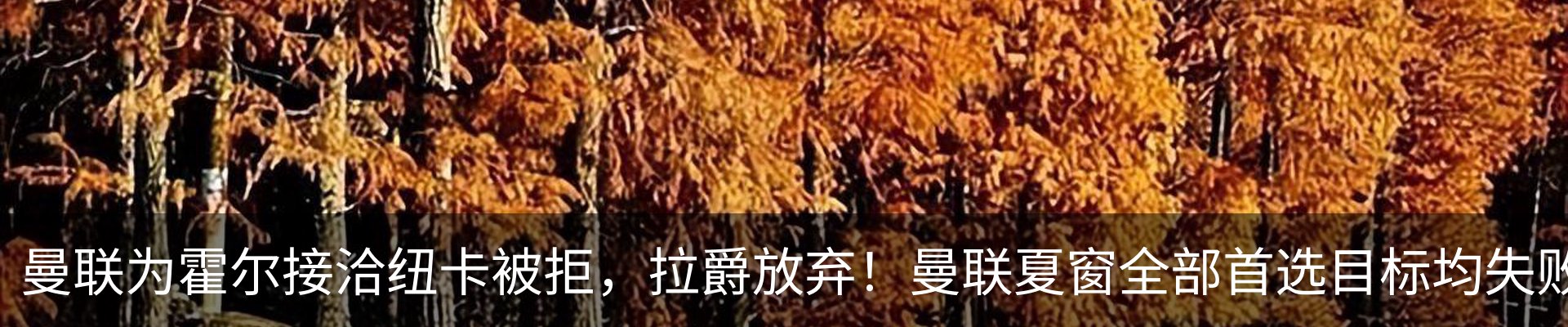 资讯中心