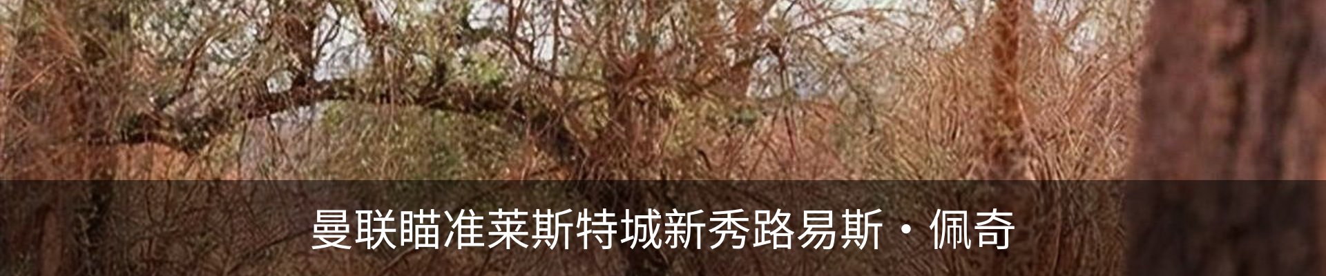 资讯中心