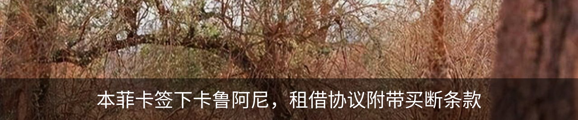 资讯中心