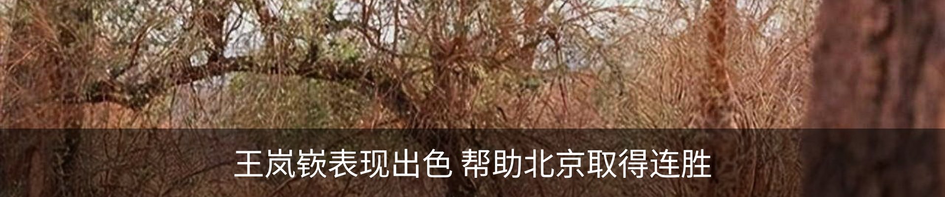 资讯中心
