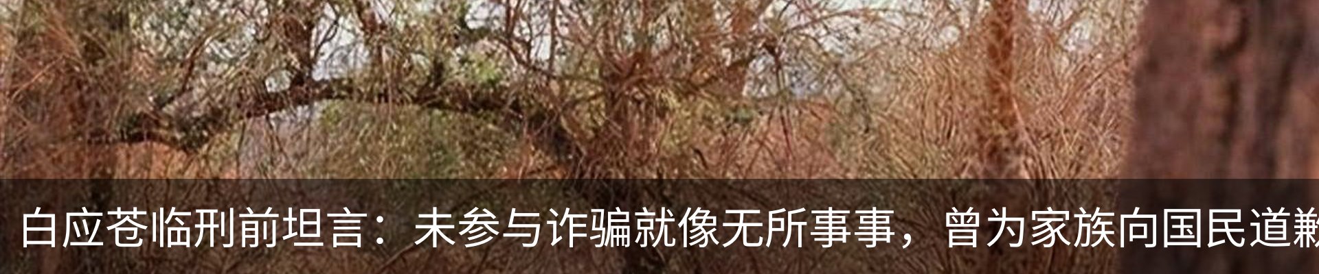 资讯中心