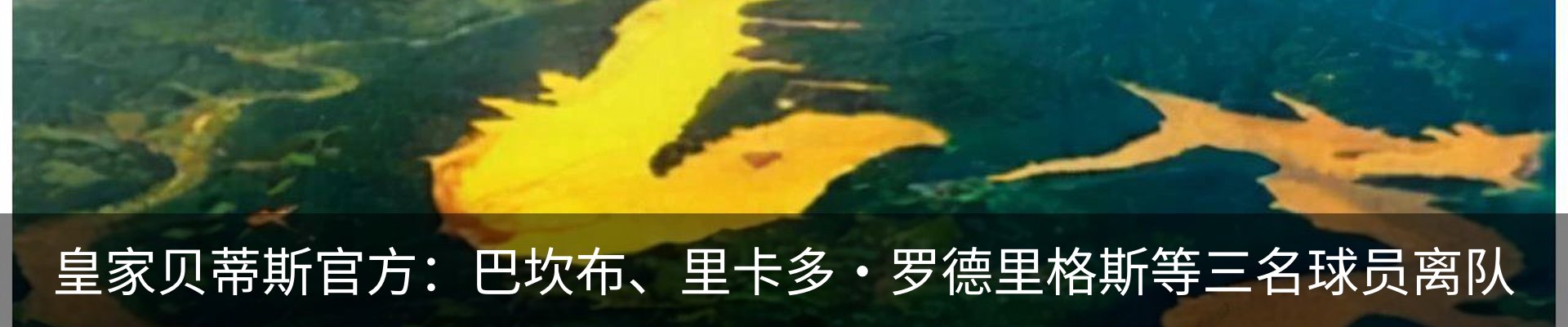 资讯中心