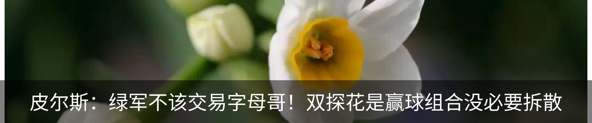 资讯中心