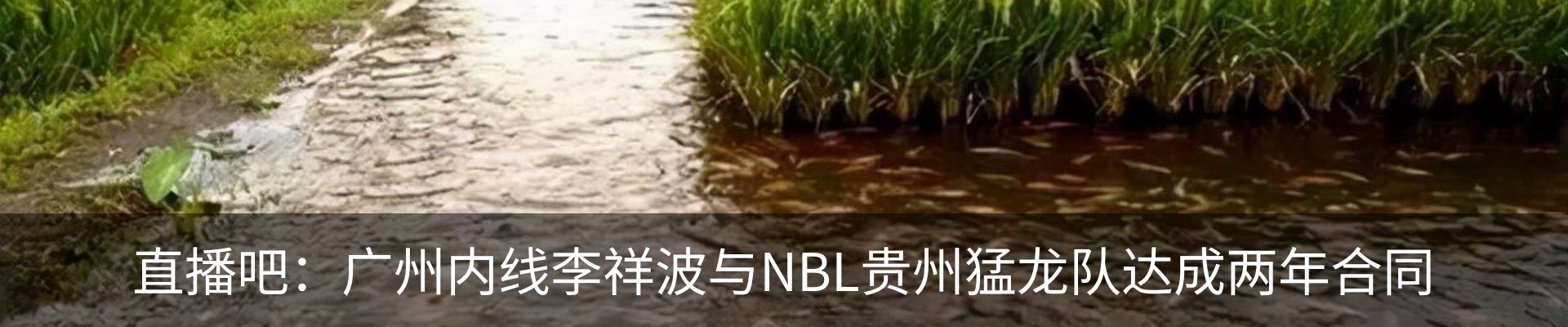 资讯中心