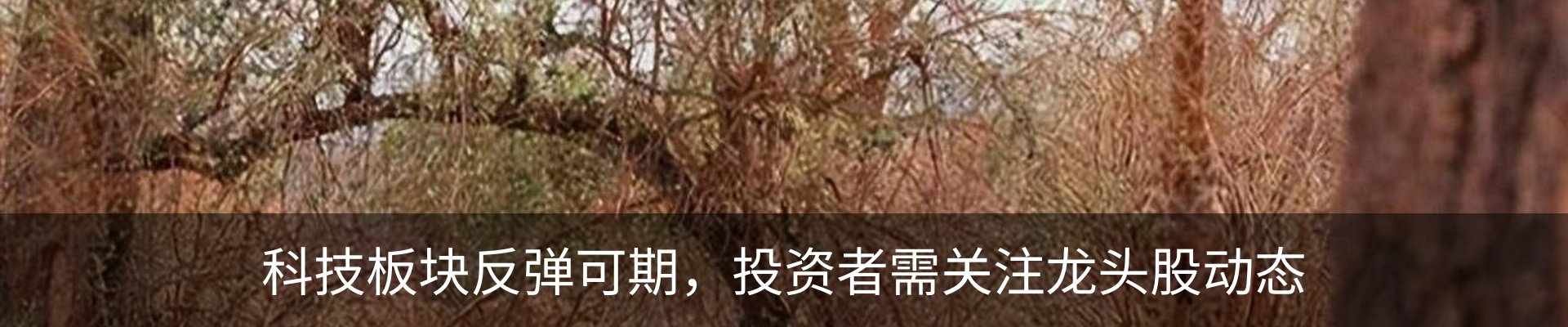 资讯中心