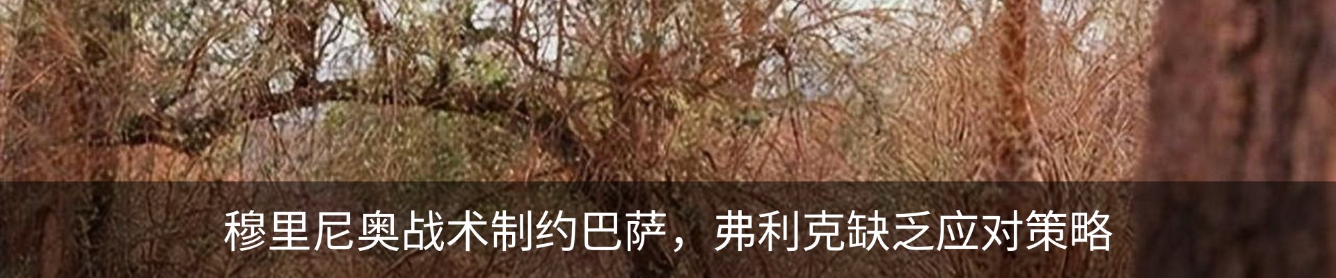 资讯中心