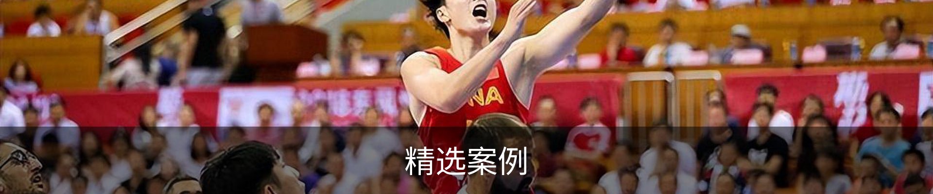 精选案例