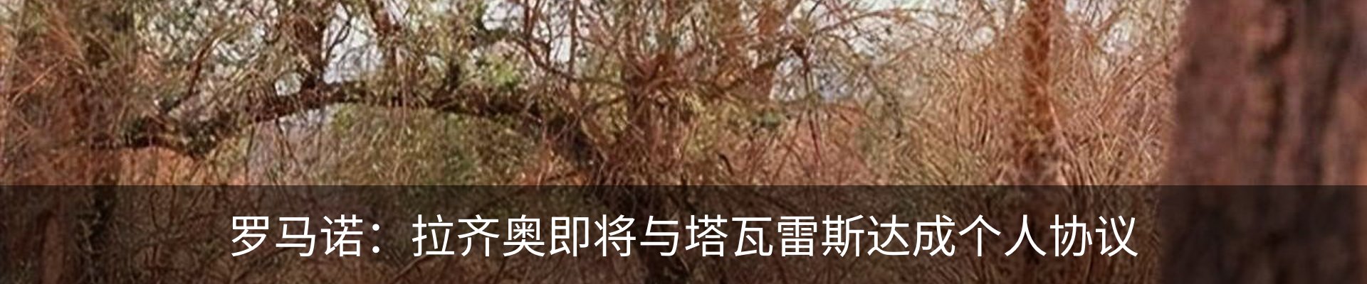 资讯中心