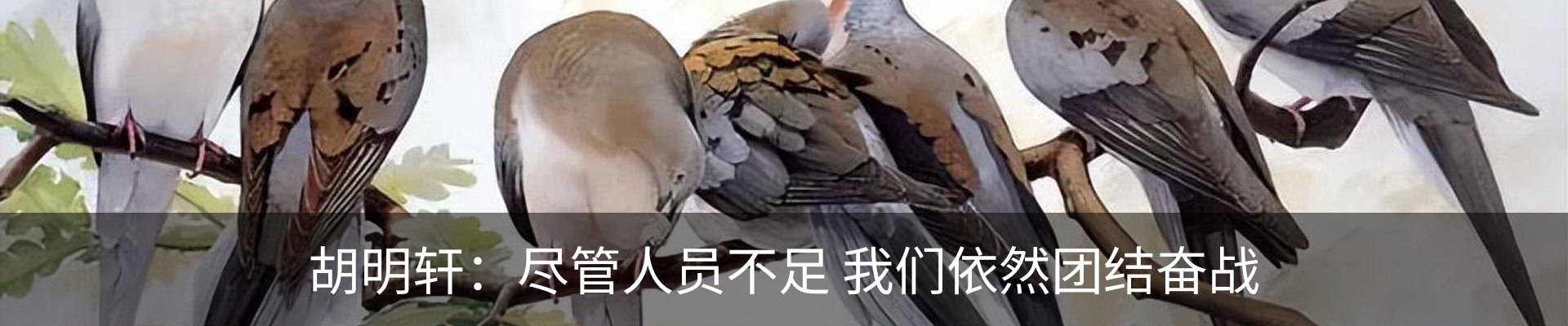 资讯中心