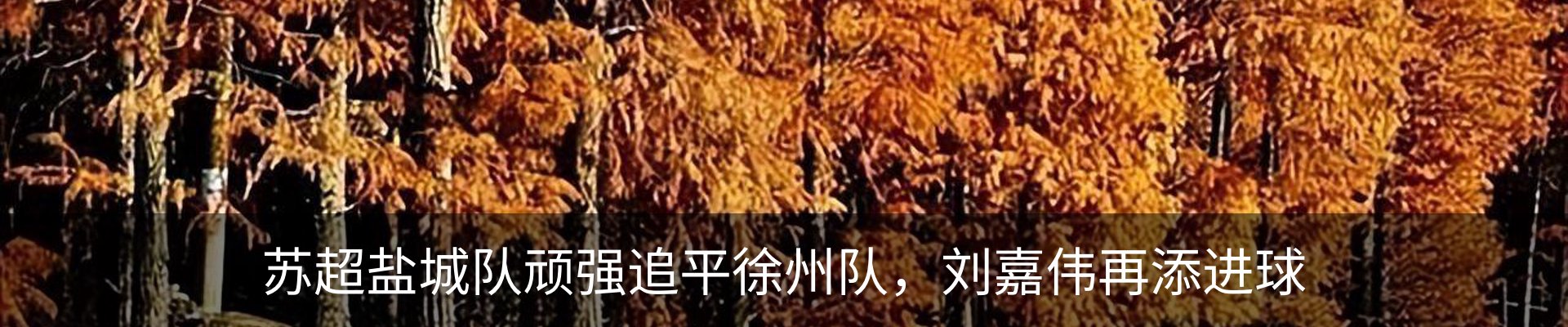资讯中心