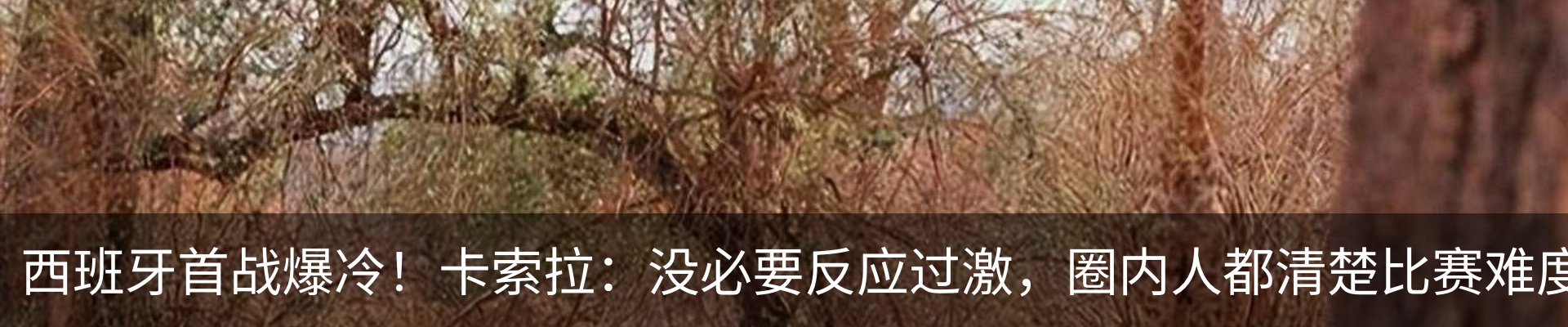 资讯中心