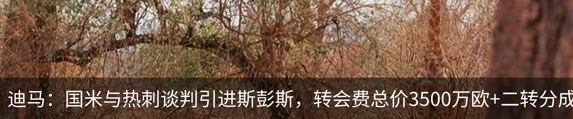 资讯中心