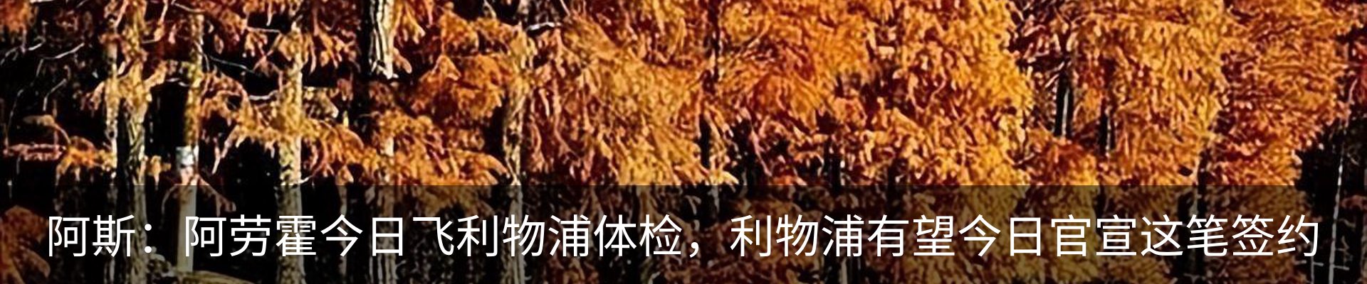 资讯中心