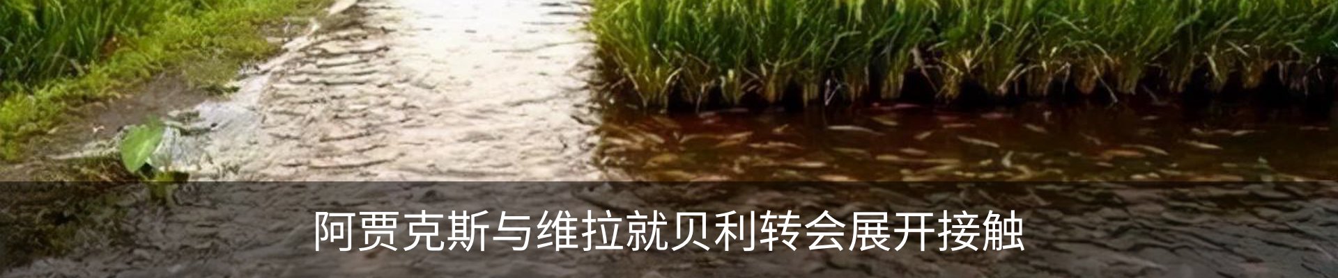 资讯中心
