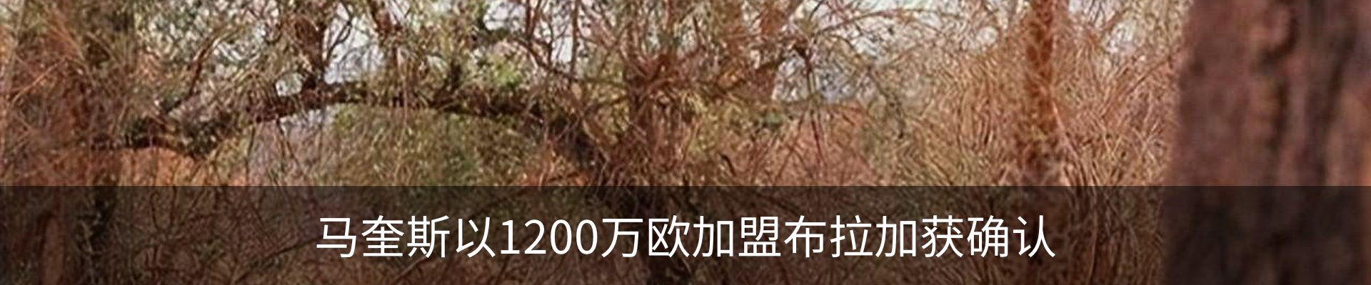 资讯中心
