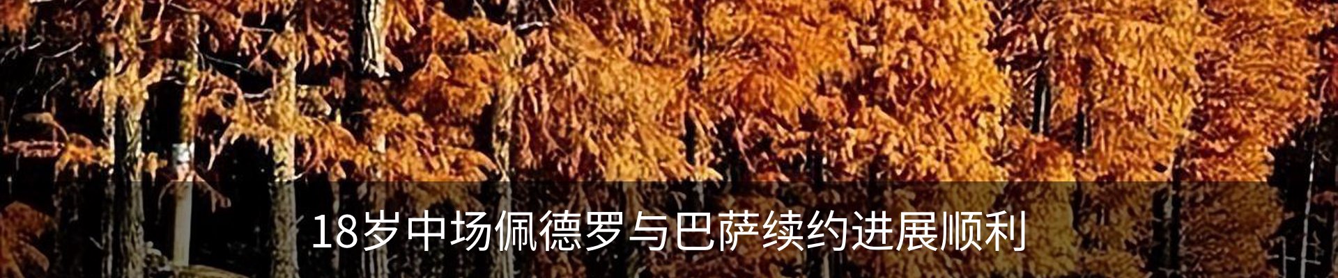 资讯中心