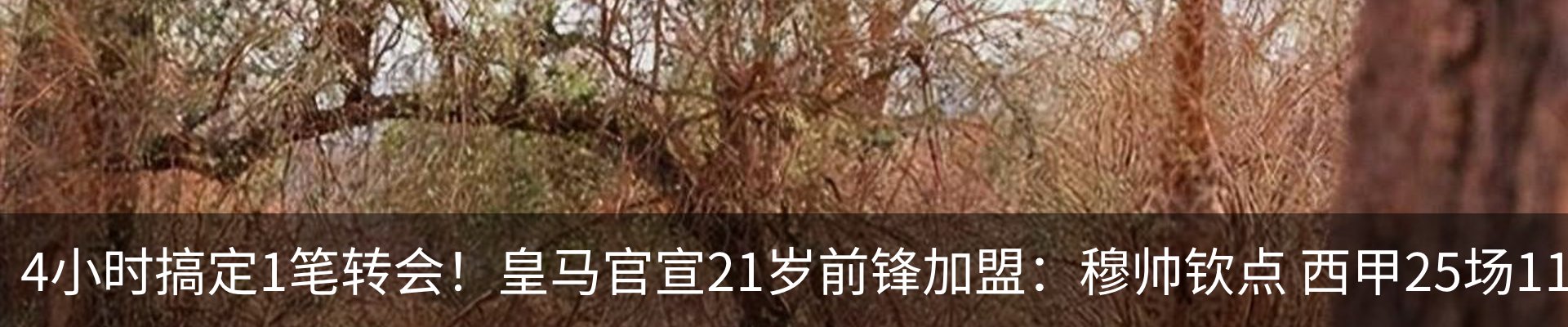 资讯中心