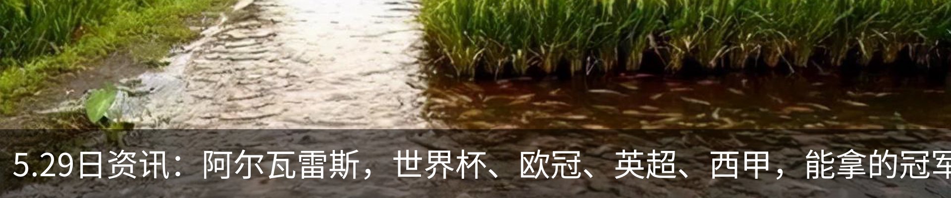 资讯中心