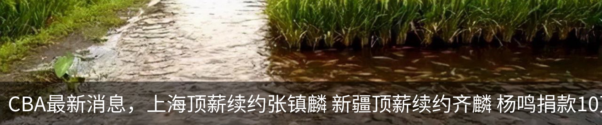 资讯中心