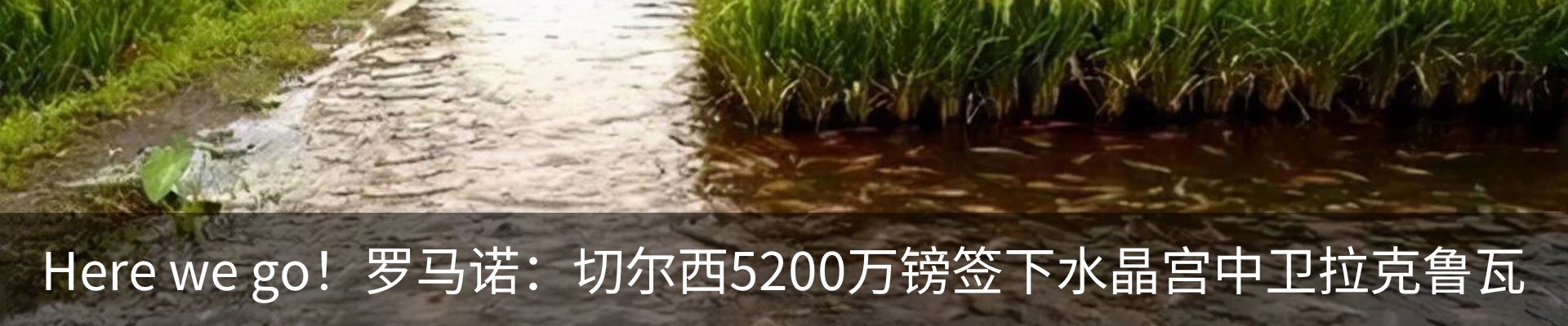 资讯中心